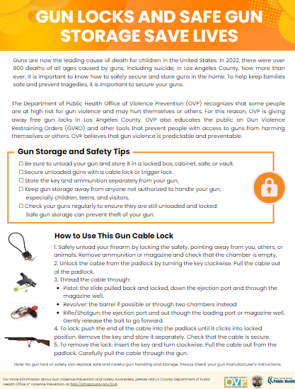 Gun Locks and Safe Gun Storage Save Lives Preview